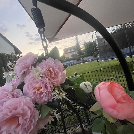 Ferienwohnung Marie Rüdesheim am Rhein Dış mekan fotoğraf